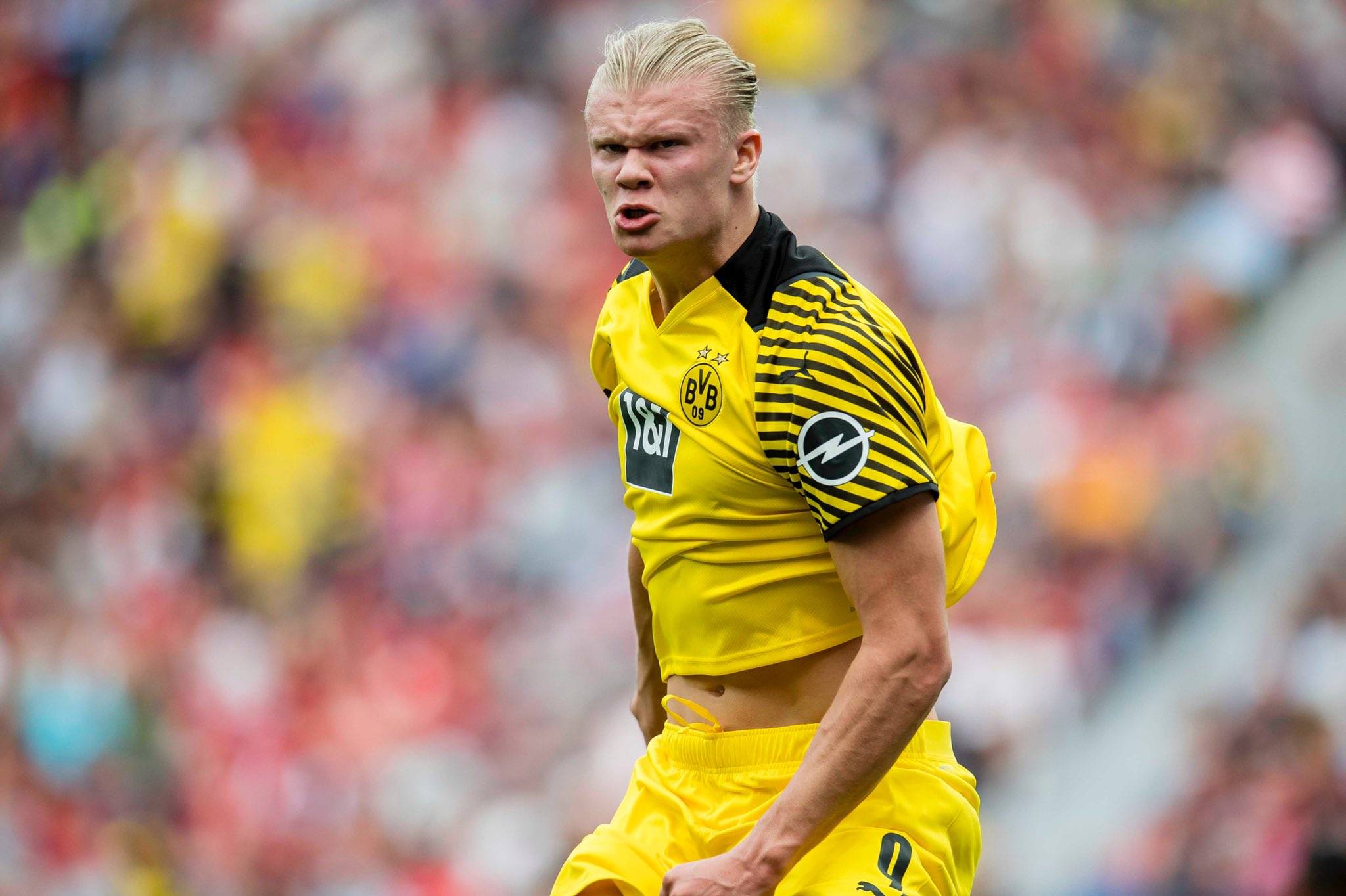 上光荣榜，大连英博一线队主教练李国旭获得辽宁五一劳动奖章（大连英博一线队主帅李国旭荣获辽宁五一劳动奖章，荣登光荣榜）