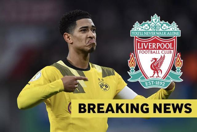 内德维德盛赞伊尔迪兹：他拥有非凡的能力，未来只会更强（内德维德力赞伊尔迪兹：天赋卓绝，未来愈发强大）