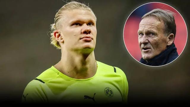 篮球勇士替补球员出色发挥获赞